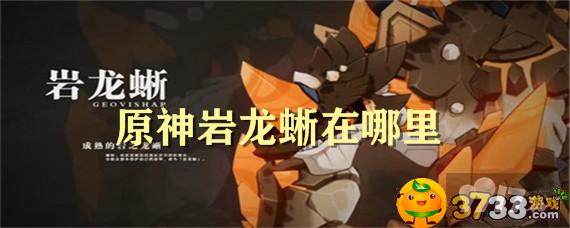 原神岩龙蜥在哪里多 9917