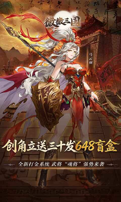 微微三国-0.05折打金版游戏截图5