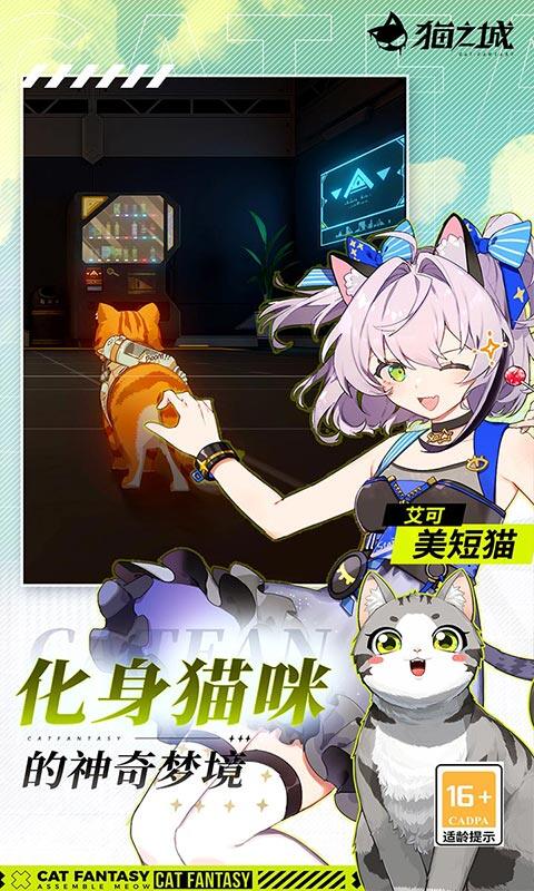 猫之城游戏截图5