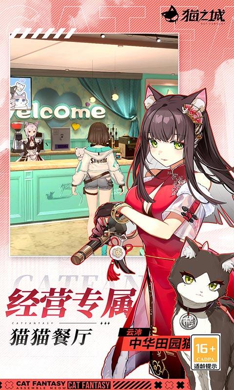 猫之城游戏截图5