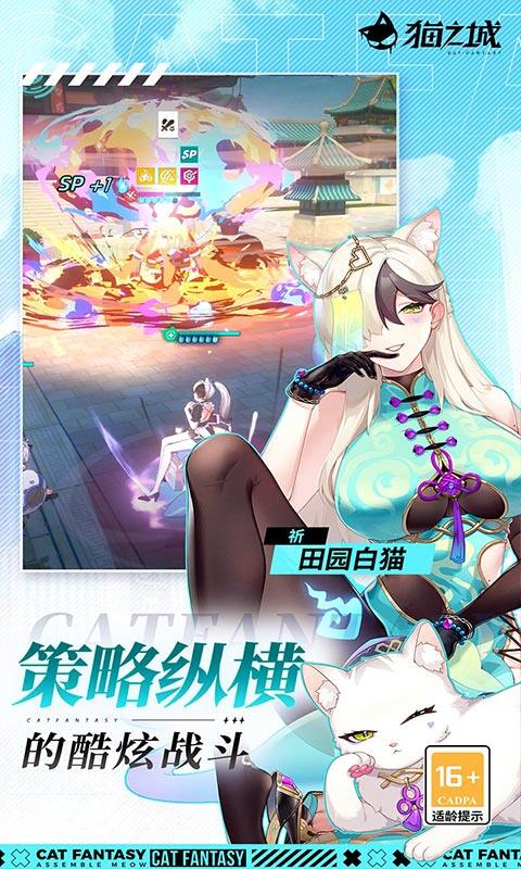 猫之城游戏截图5