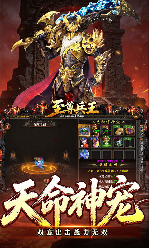 至尊兵王-天命神宠绿色版游戏截图5