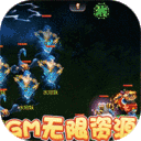 西游记口袋版-GM无限资源